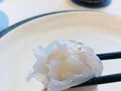 三号黄浦会の水晶虾饺-三号黄浦会Canton Table