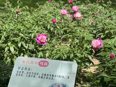 -仁和公园(顺义区)