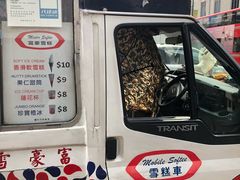 -富豪雪糕车流动点(尖沙咀店)