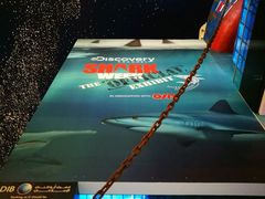 -迪拜水族馆及水下动物园