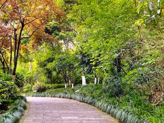 -杭州半山国家森林公园