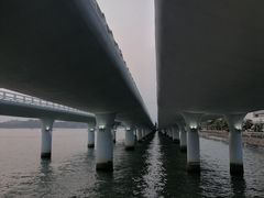-演武大桥观景平台