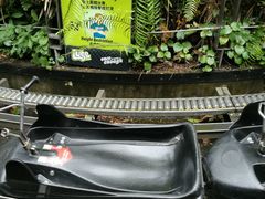 -圣淘沙天际线斜坡滑车