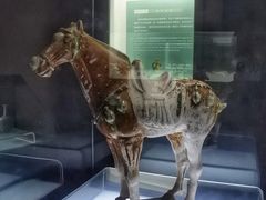-衢州市博物馆