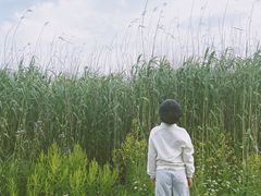-亮河湾山庄