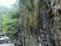 -白云源风景区
