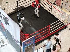 -上海当代艺术博物馆