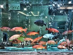 -海逸海鲜酒家(古北店)