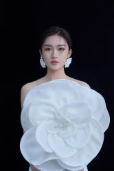 点击看大图 -DS VISION·鼎圣摄影