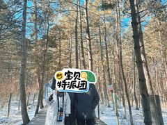 -帽儿山国家森林公园