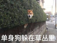 -盒悦高端盒饭(中海国际中心店)