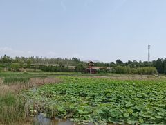 -怀来官厅水库