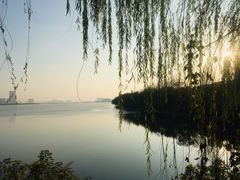 -艾溪湖湿地公园