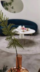 点击看大图 -VE专注问题肌·赛诺龙&科学美肤中心