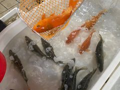 -桐庐江南农贸市场