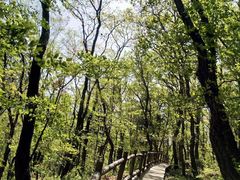 -北京上方山国家森林公园