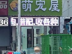 -中环花鸟鱼虫市场