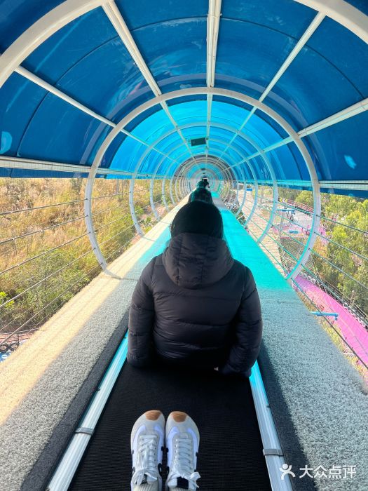 盈香心动乐园图片