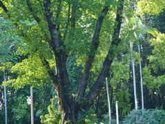 -人民公园(罗湖区)