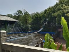 -芜湖方特东方神画