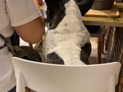 -小时光咖啡馆(北锣鼓巷店)