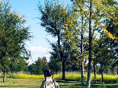 -汉长安城未央宫国家考古遗址公园