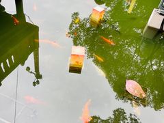 -豫园