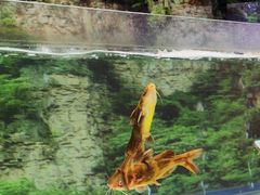 -食理八湘(中海城风情苑北区店)