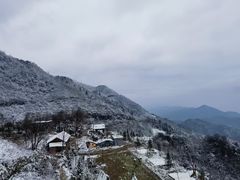 -武陵山森林公园