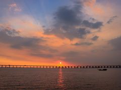 -宝安西湾红树林湿地公园