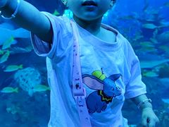 -成都浩海立方海洋公园