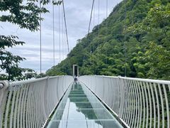 -藏龙百瀑风景区