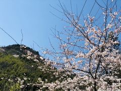 -大围山国家森林公园