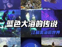 -江和美海洋公园