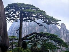 -黄山风景区