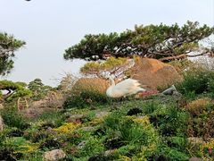 -罗红摄影艺术馆