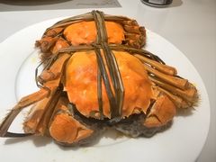 -晶丽香榭自助餐(南京大饭店)