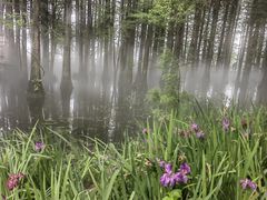 -东湖落雁景区
