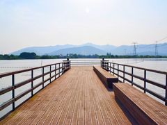 -长田漾湿地公园