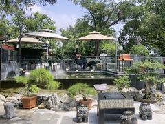 -蘇河湾·新鲁菜·泰山宴(泰山店)