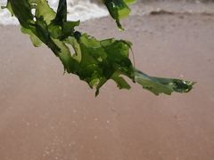 -青岛银沙滩