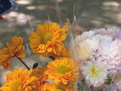 -上海鲜花港