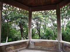 -菊花台公园