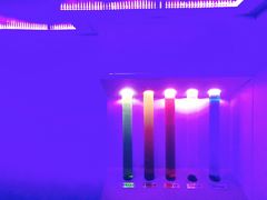 -MOJO密室逃脱(中街旗舰店)