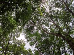 -广州长隆飞鸟乐园