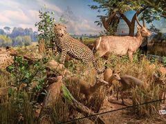 -陕西自然博物馆