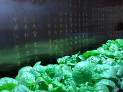 -郑州烤鸭总店
