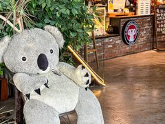 -了不起的考拉咖啡店(高新店)