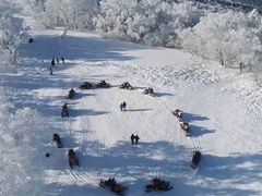 -塞罕坝国家级自然保护区