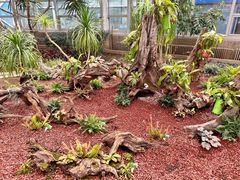 -石家庄市植物园